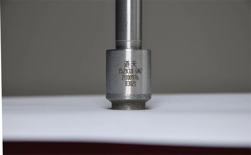 Beinn Shank Diamon Drill Bit
